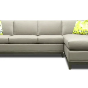 Sectional / Sleeper