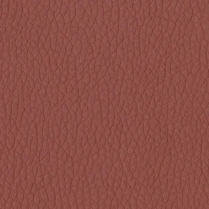 Dillon - Cordovan