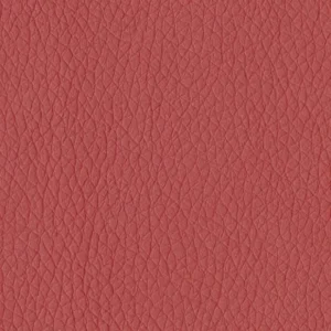 Dillon - Lipstick