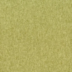 Dorset - Avocado