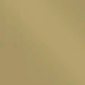 CT Gold Powder Coat